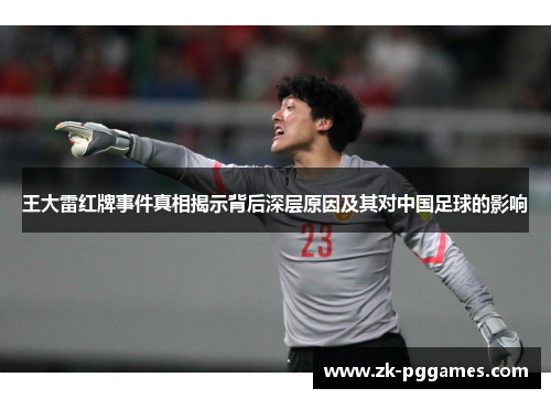 王大雷红牌事件真相揭示背后深层原因及其对中国足球的影响