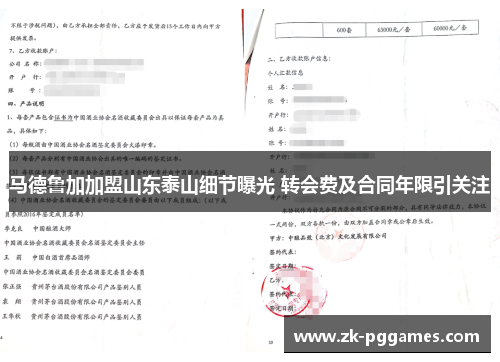 马德鲁加加盟山东泰山细节曝光 转会费及合同年限引关注 马德鲁加加盟山东泰山细节曝光 转会费及合同年限引关注